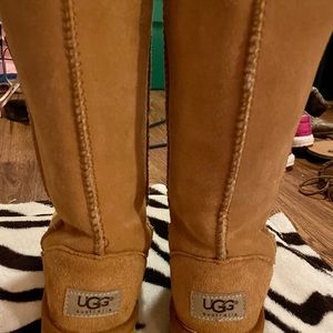 **Uggs Tall
